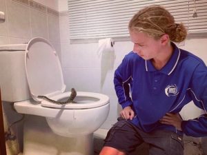 How to unblock a drain