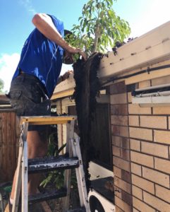 Bond Plumbing offer the best roofing repairs on the Gold Coast